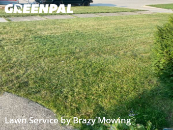 Grass Cut nearby Westland, MI, 