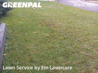 Yard Cutting nearby Grand Rapids, MI, 