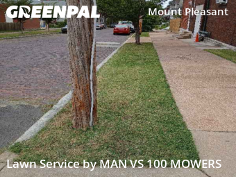 Lawn Cut nearby St. Louis, MO, 