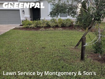 Grass Cutting nearby Lakeland, FL, 