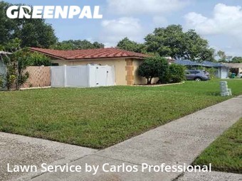Lawn Cut nearby Seminole, FL, 