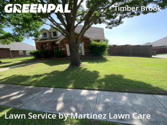 Lawn Mow nearby Plano, TX, 