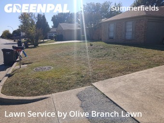 Lawn Servicein Fort Worth,76137,Lawn Care Service by Olive Branch Lawn, work completed in Dec , 2025