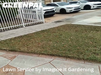 Lawn Cut nearby Hialeah, FL, 