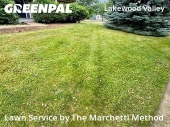 Lawn Care Service nearby Aurora, IL, 