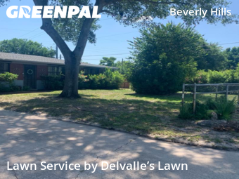 Lawn Cut nearby Daytona Beach, FL, 
