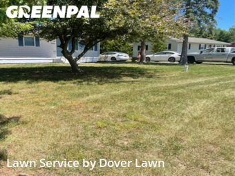 Lawn Care nearby Felton, DE, 