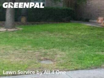 Grass Cutting nearby Cibolo, TX, 
