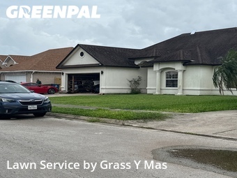Lawn mowed in Brownsville, 78526
