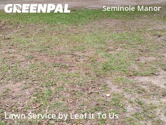 Grass Cutting nearby Tallahassee, FL, 