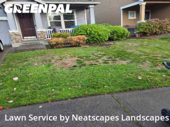 Grass Cut nearby Puyallup, WA, 