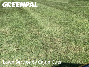 Lawn Care Service nearby Murfreesboro, TN, 