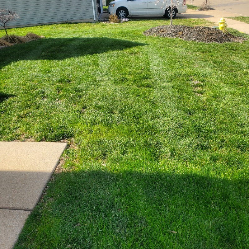 Performance Lawn Care Lawn Care Services in High Ridge, MO