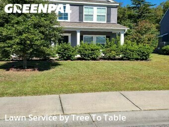 Lawn Cut nearby Charleston, SC, 