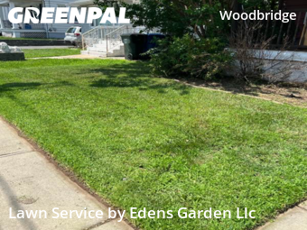 Grass Cut nearby Woodbridge Township, NJ, 