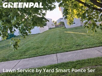 Lawn Care nearby Joliet, IL, 