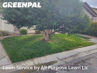 Yard Mowing nearby Las Vegas, NV, 