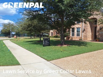 Lawn Care Servicein Mansfield,76063,Yard Cutting by Green Collar Lawns, work completed in Nov , 2025