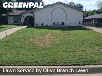 Lawn Mowing Servicein North Richland Hills,76180,Lawn Mow by Olive Branch Lawn, work completed in Jun , 2026