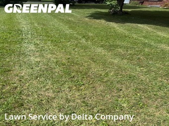 Lawn Mowing nearby Bowling Green, KY, 