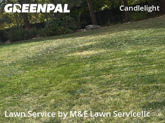 Lawn Service nearby Arvada, CO, 