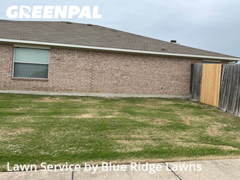 Yard Mowing nearby Princeton, TX, 