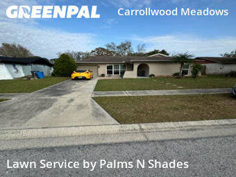 Yard Cutting nearby Tampa, FL, 