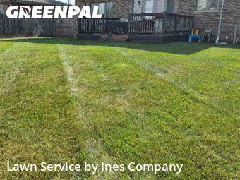 Lawn Cut nearby Tinley Park, IL, 