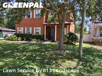 Grass Cut nearby Tampa, FL, 