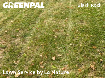Lawn Care Service nearby Bridgeport, CT, 