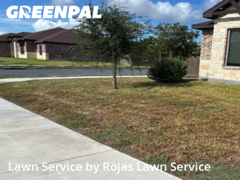 Lawn Maintenance nearby Harlingen, TX, 