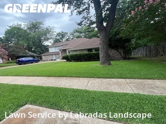 Lawn Carein Garland,75044,Grass Cut by Labradas Landscape, work completed in Jul , 2026