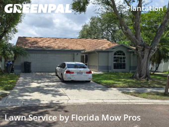 Lawn Mowing nearby Tampa, FL, 