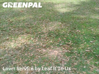 Yard Mowing nearby Tallahassee, FL, 