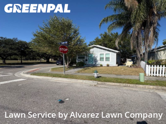Lawn Mowingin Winter Park,32789,Lawn Maintenance by Alvarez Lawn Company, work completed in Dec , 2025