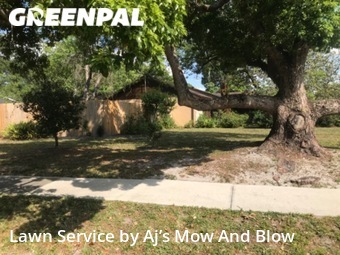 Yard Mowing nearby Winter Springs, FL, 