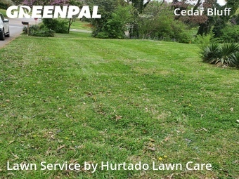 Lawn Mowing nearby Knoxville, TN, 