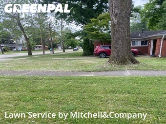Yard Mowing nearby Farmington Hills, MI, 