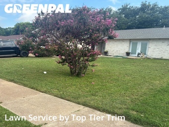Lawn Mow nearby Grand Prairie, TX, 