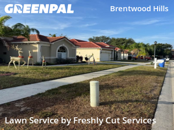 Lawn Servicein Brandon,33511,Grass Cutting by Freshly Cut Services, work completed in Dec , 2025