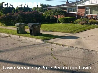 Grass Cut nearby Allen Park, MI, 