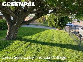 Yard Cutting nearby Colton, CA, 