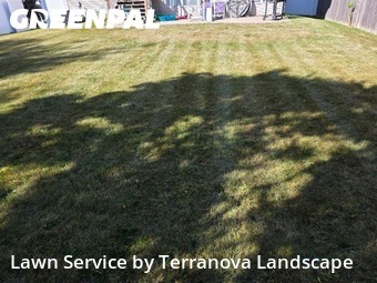 Lawn Mowin Bolingbrook,60440,Lawn Mowing by Terranova Landscape, work completed in Nov , 2025