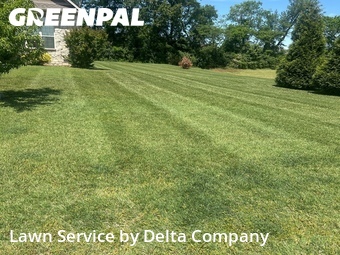 Grass Cut nearby Bowling Green, KY, 