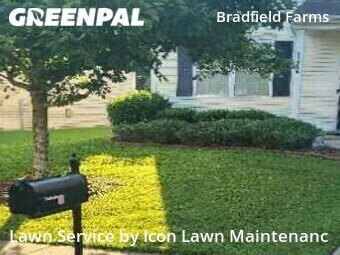 Grass Cut nearby Charlotte, NC, 