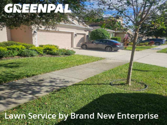 Lawn Maintenance nearby Groveland, FL, 