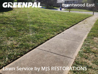 Grass Cutting nearby Lenexa, MO, 