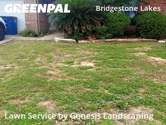 Lawn Cutting nearby Spring, TX, 