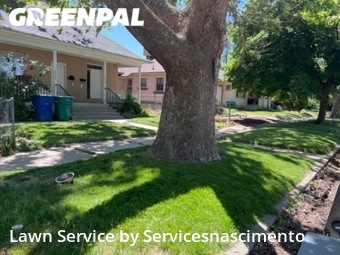 Lawn Service nearby Ogden, VA, 