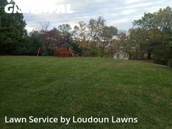 Property Maintenance in Ashburn, 20147, Yard Grooming by Loudoun Lawns, work completed in Nov , 2025